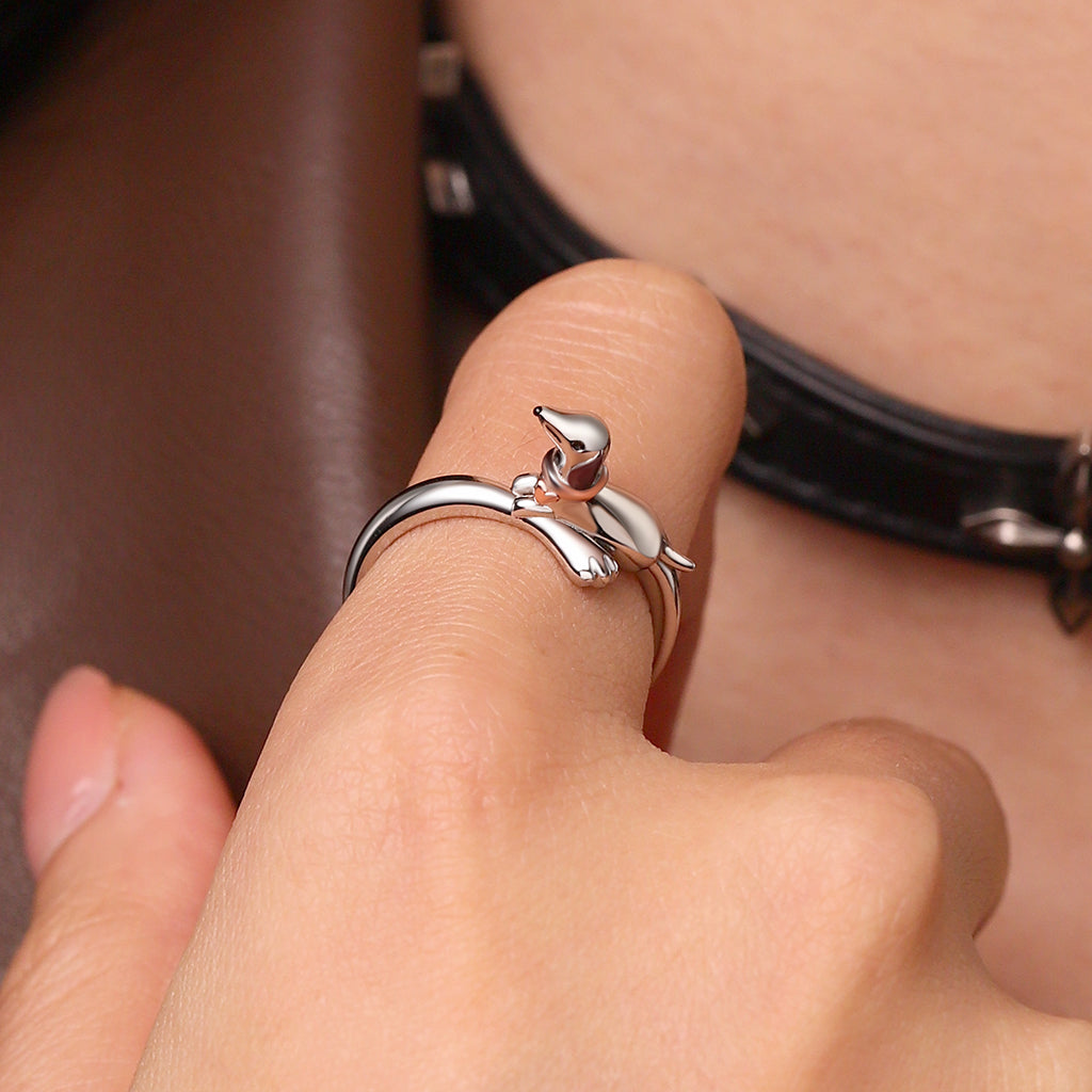 Gnoce Dachshund Dog Ring_5