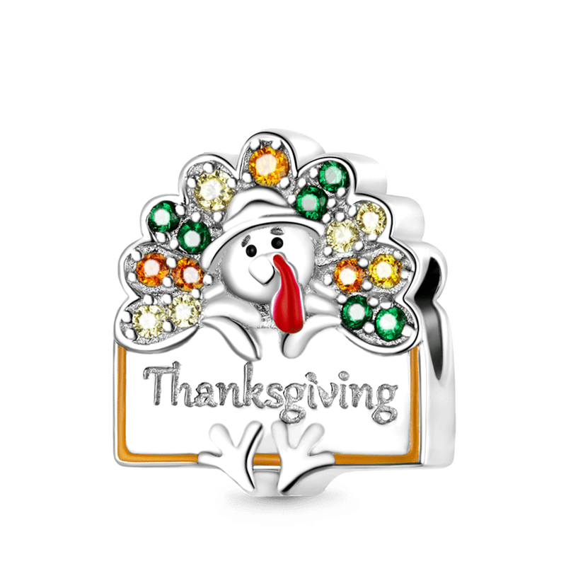 Gnoce Turkey Thanksgiving Gift Charm_1