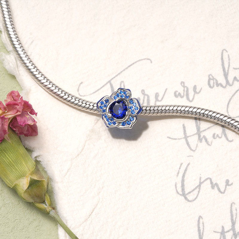 Gnoce Sparkling Blue Enchantress Charm_3