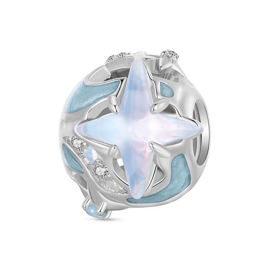Gnoce Sparkling Star Round Charm_1