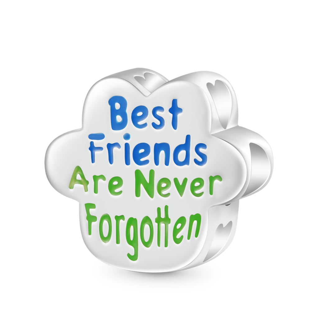 Gnoce "Best Friends Are Never Forgotten" Color-changing Dog Paw Charm_3