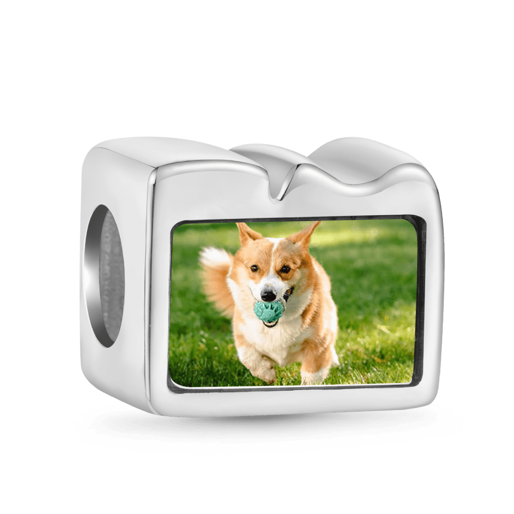 Gnoce Personalized Cute Pet Photo Charm_2