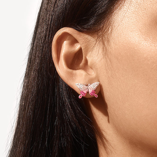 Gnoce Gradient Butterfly Earrings_5