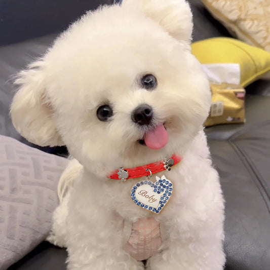 Gnoce Engravable Dog Heart Pet Tag & Flame Red Collar Anti-Lost_6