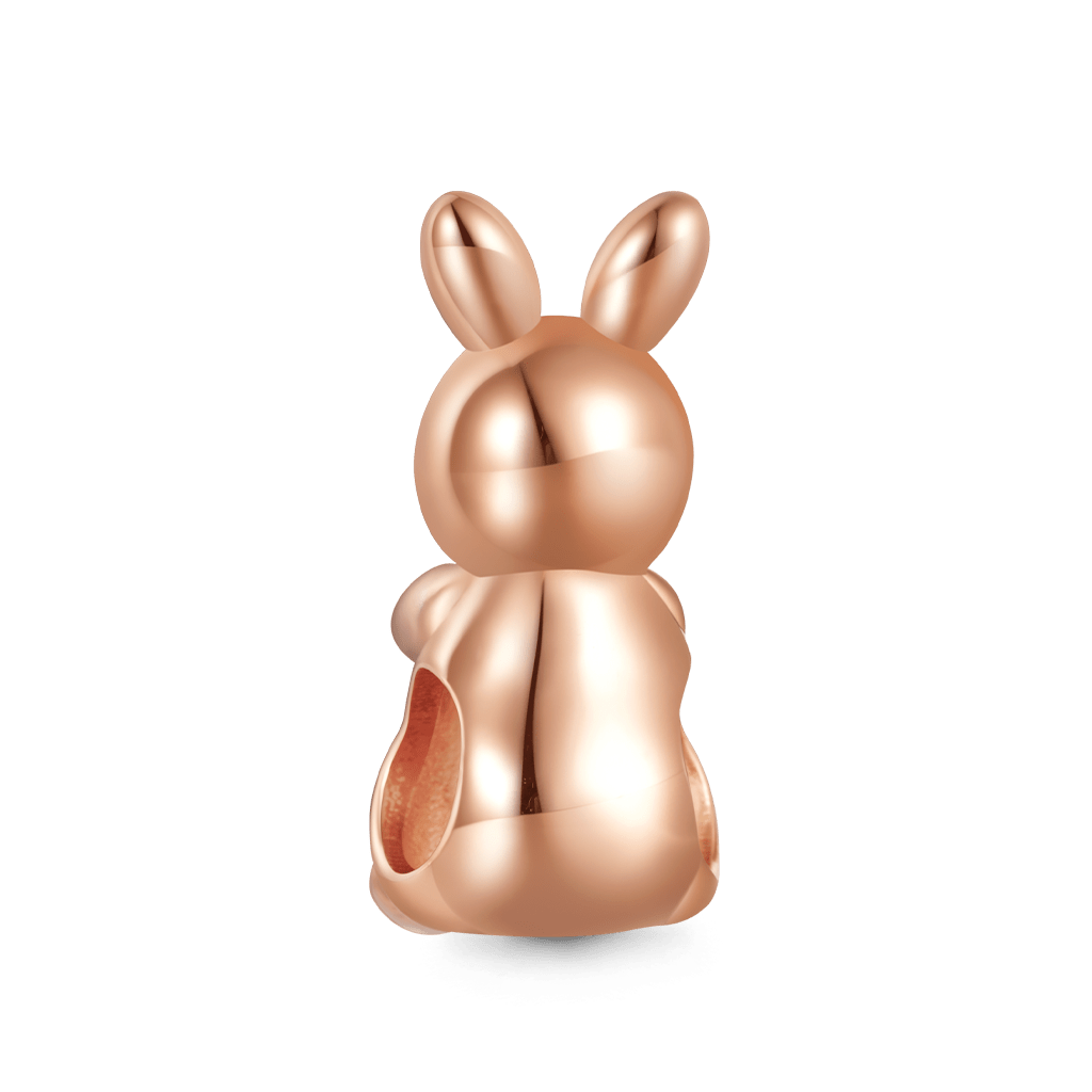Gnoce Gray Bunny Embraces Love Charm_3