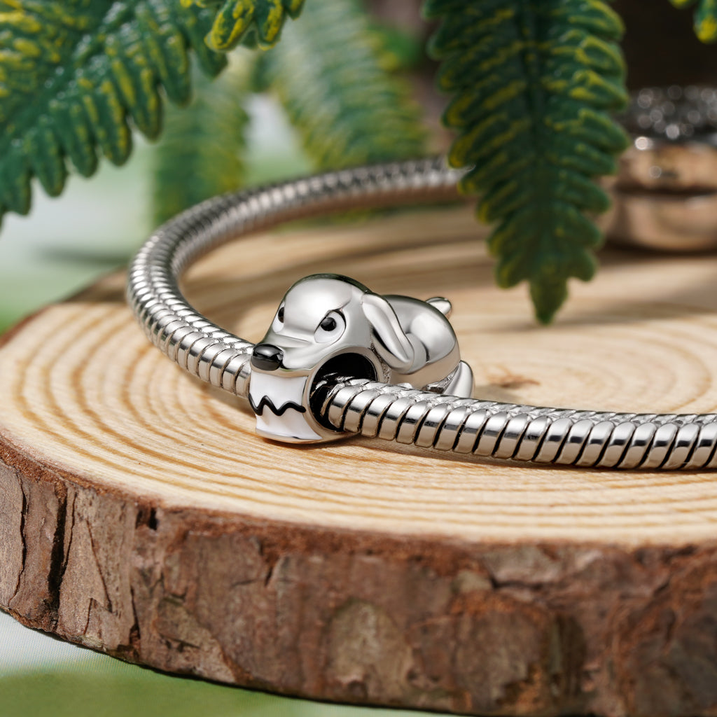 Gnoce Creative Shark Dog Charm_3