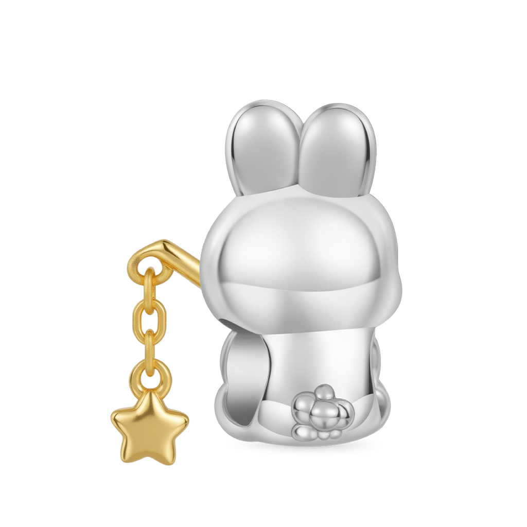 Bunny Catching for Stars Charm_2