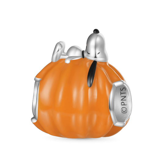 Gnoce Peanuts Halloween Snoopy Pumpkin Charm_2
