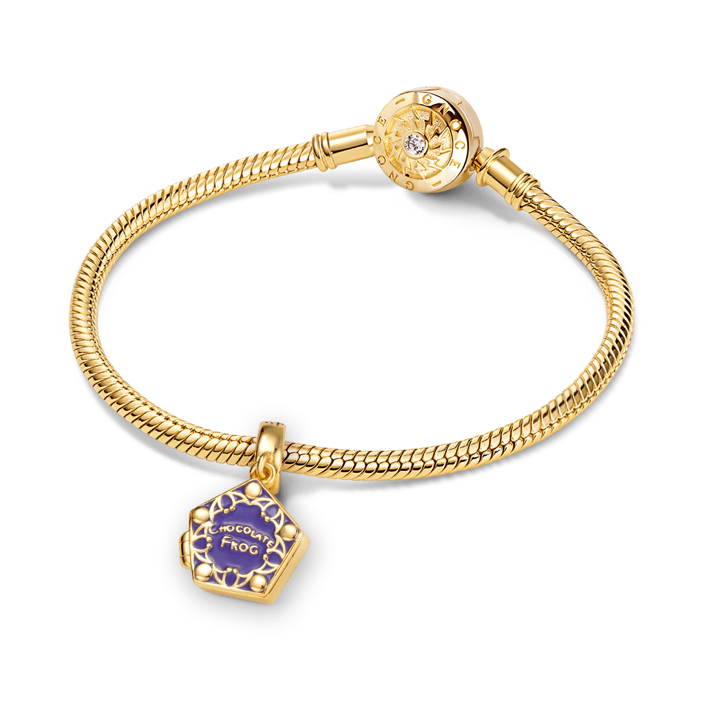 Gnoce Harry Potter Chocolate Frog Pendant Dangle Charm_4