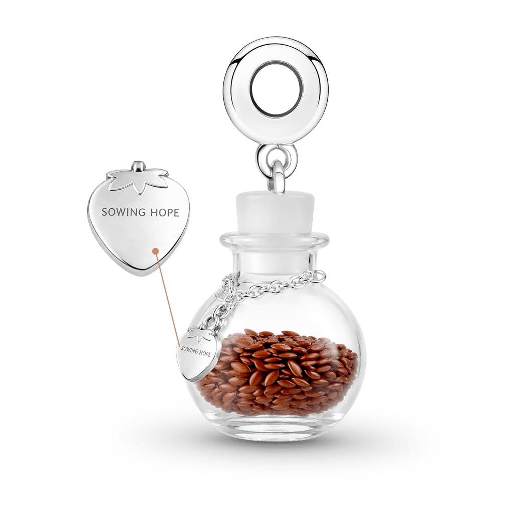 Gnoce Strawberry Seed Wishing Bottle Pendant Dangle Charm_2