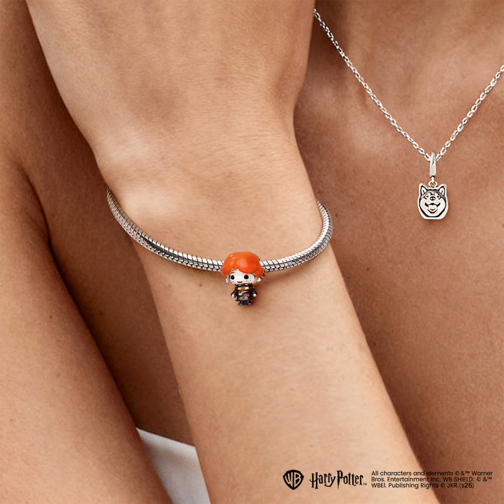 Gnoce Harry Potter Ron Weasley Charm_3