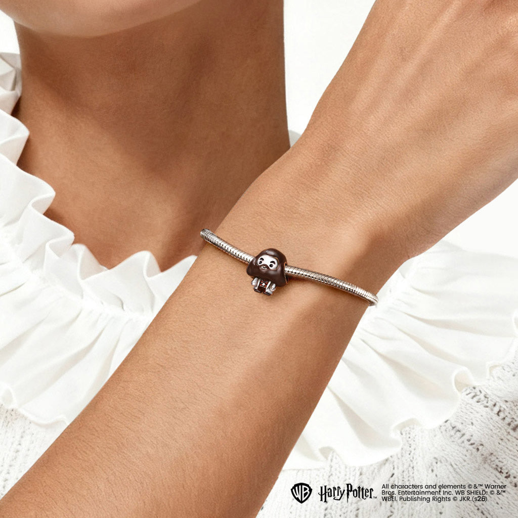 Gnoce Harry Potter Rubeus Hagrid Charm_3