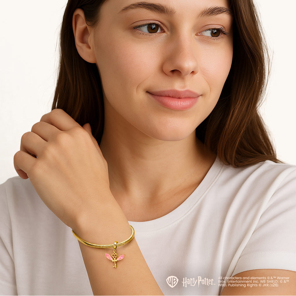 Gnoce Harry Potter Winged Key Pendant Dangle Charm_5