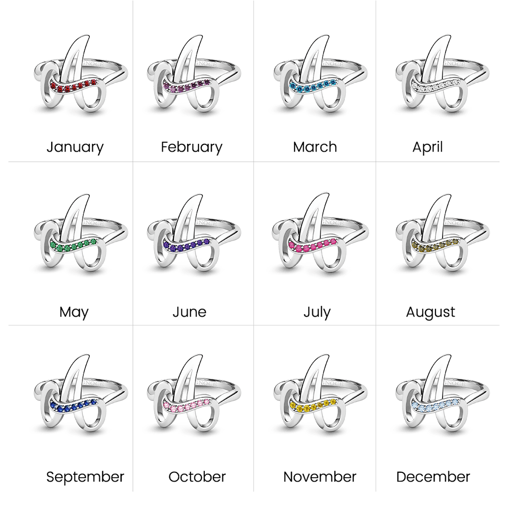 Gnoce Custom Letter Ring & 12 Birthstone Silver Jewelry_4